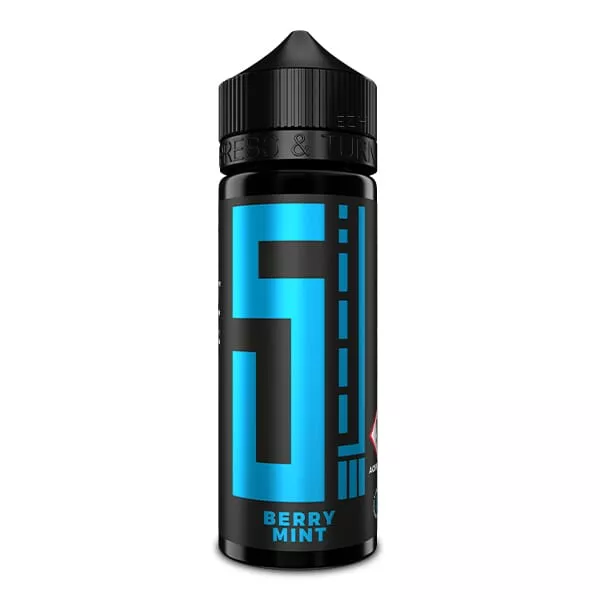 5 Elements Berry Mint Longfill – blaue 120ml-Flasche mit Schraubverschluss, Frontalansicht