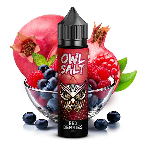 OWL Salt Red Berries Longfill 60ml Flasche mit Eulen-Logo, umgeben von Himbeeren, Heidelbeeren und Granatapfel