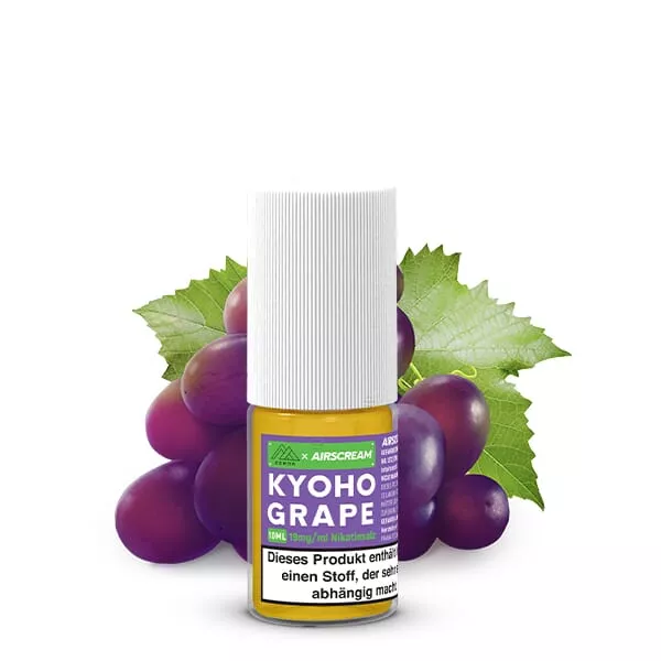 Zero6 - Kyoyo Grape - 10ml Nikotinsalz-Liquid