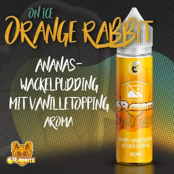 Orange Rabbit on Ice