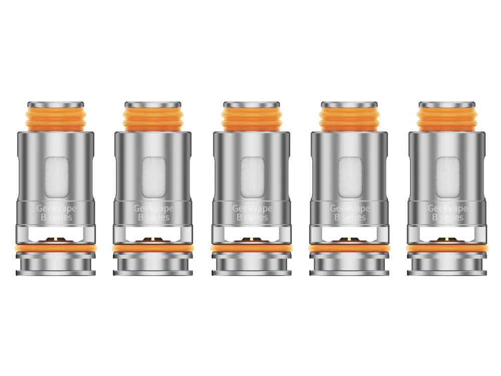 5er-Pack GeekVape B-Series Boost Verdampferköpfe mit orangenen Baumwollöffnungen, silberne Coils